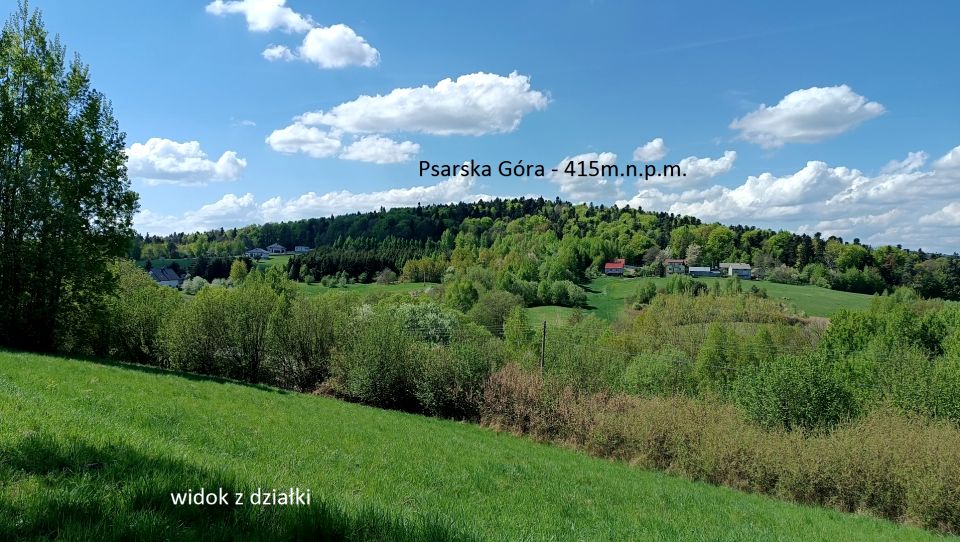 Zalesiona działka Święta Katarzyna