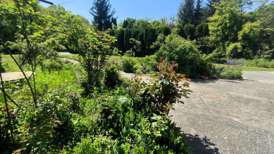 Dom wolnostojący sprzedaż