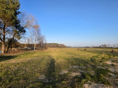 Działka rekreacyjna Jackowo