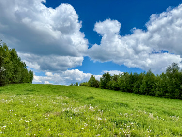 Działka Wiącka