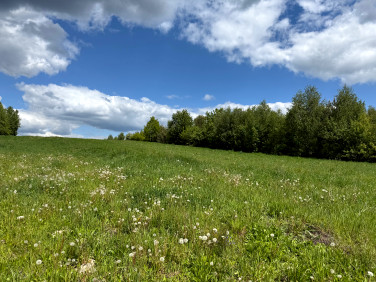 Działka Wiącka