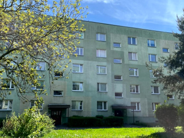 Mieszkanie Łódź sprzedaż