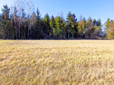 Działka Piaskowo