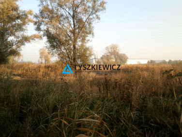 Działka Gdańsk