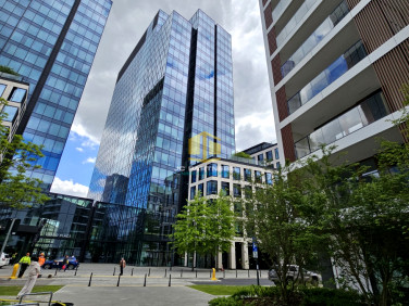 Lokal Warszawa