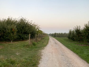 Działka budowlana Michrów