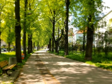 Mieszkanie Gliwice
