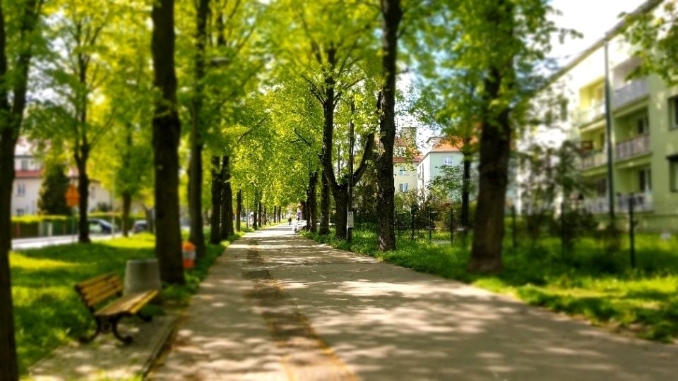 Mieszkanie Gliwice