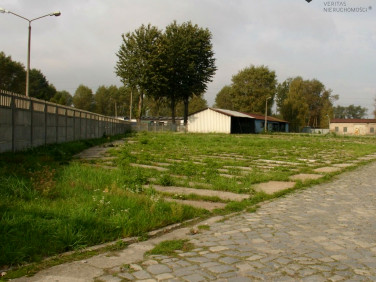 Działka inwestycyjna Gliwice wynajmę