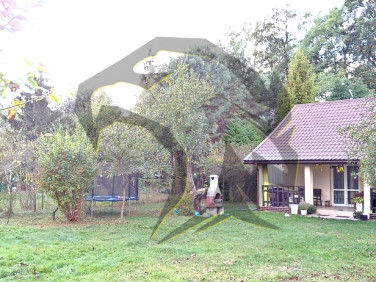 Dom ANIELIN SWĘDOWSKI