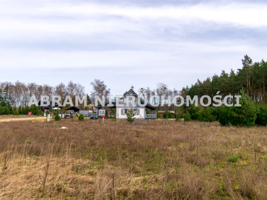 Działka Wilcze