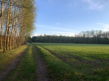 Działka Brody