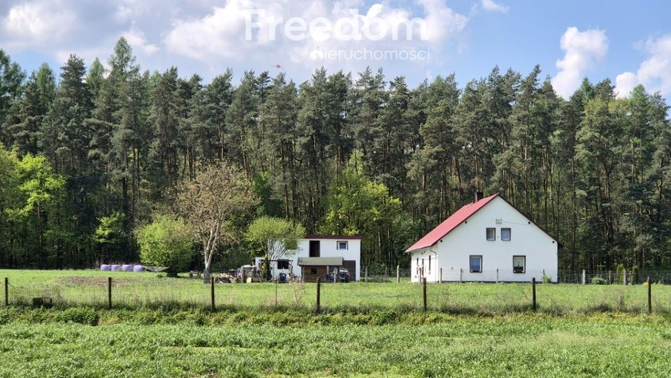 Ogrodzona działka sprzedam