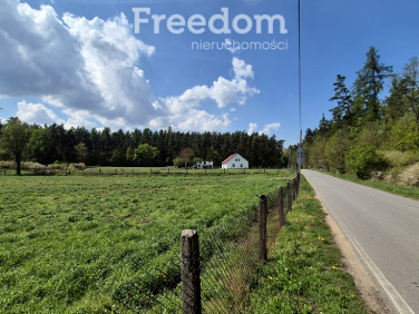 Działka Niezdrowice
