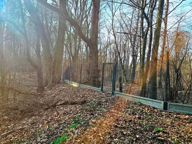 Działka Józefów