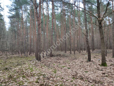 Działka budowlana Siestrzeń