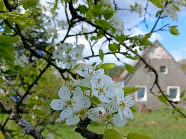 Dom Piaseczna