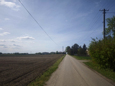 Działka Michałówek