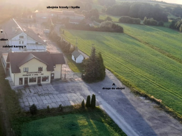 Lokal Wieprz
