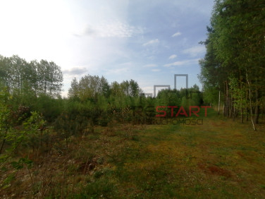 Działka Korabiewice
