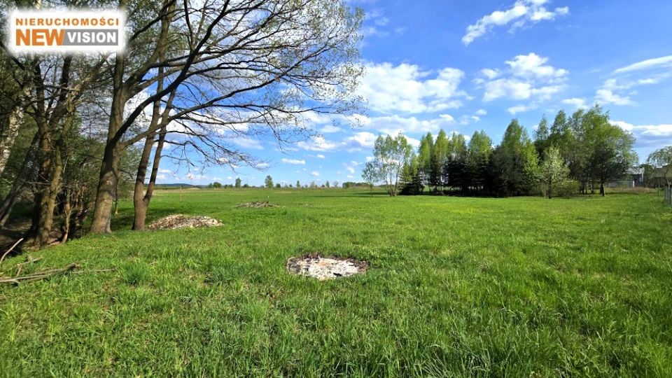 Zdjęcie 2