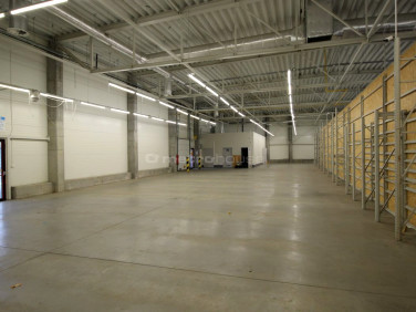 Lokal Łask