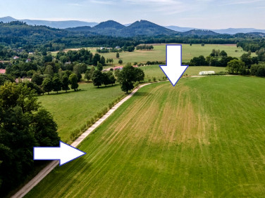 Działka Janowice Wielkie