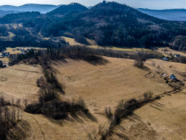 Działka Trzcińsko