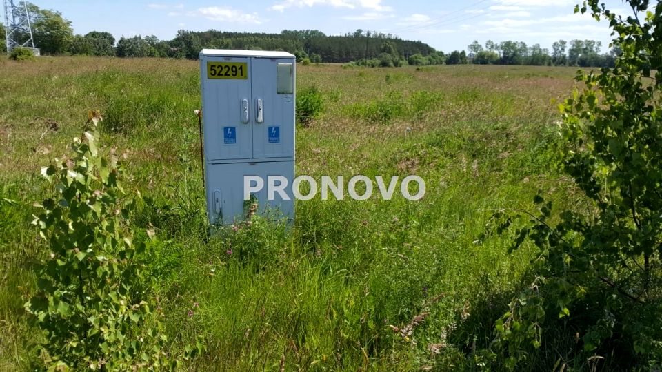 Zdjęcie 2