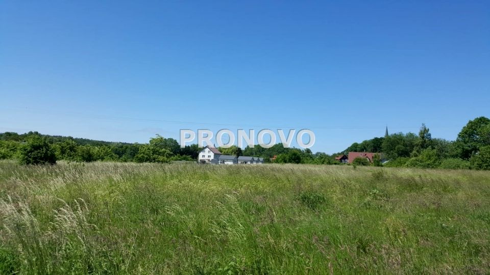 Zdjęcie 3