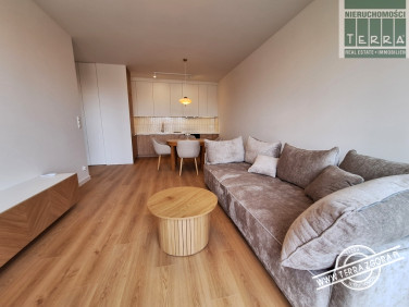 Mieszkanie apartamentowiec wynajem