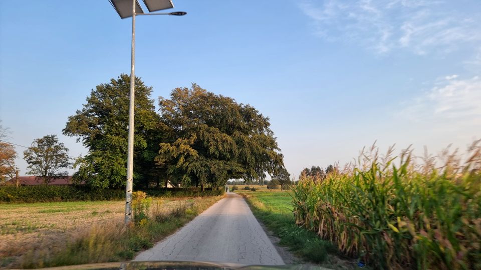Działka Eufeminów