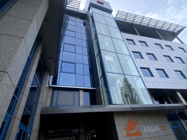 Lokal Warszawa