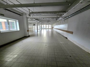 Lokal Bełchatów