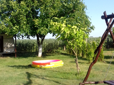 Działka rekreacyjna Wierzbica Pańska