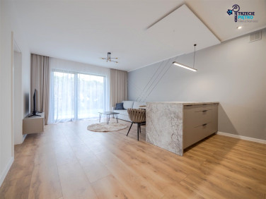 Mieszkanie apartamentowiec wynajem