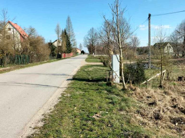 Działka Bizoręda