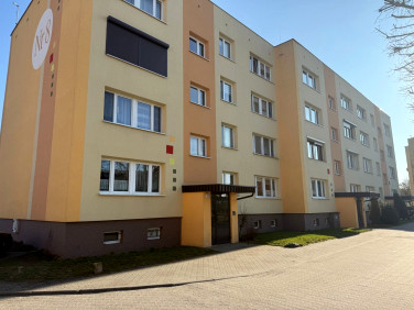 Mieszkanie Paterek sprzedaż
