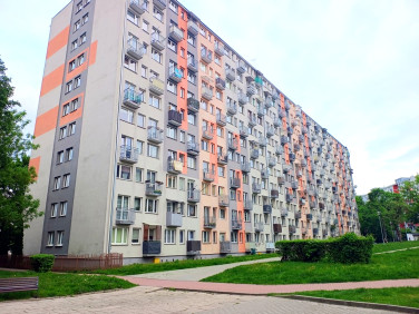 Mieszkanie Kielce