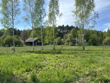Działka siedliskowa Rowek