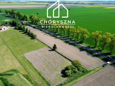 Działka Bierutów