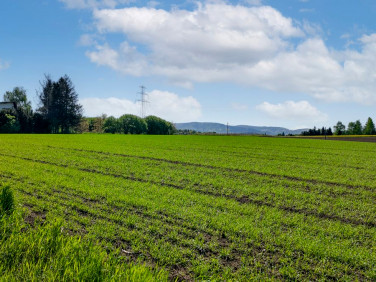 Działka budowlana Bielsko-Biała sprzedam