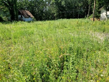 Działka Zielonka
