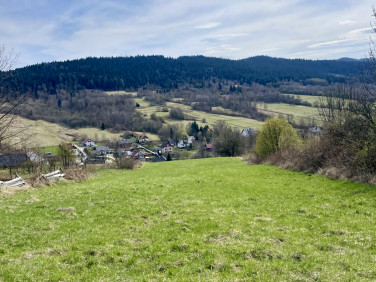 Działka Kocoń
