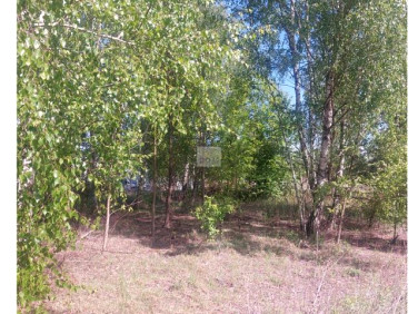 Działka budowlana Stare Grabie sprzedam