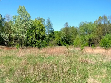 Działka Leoncin