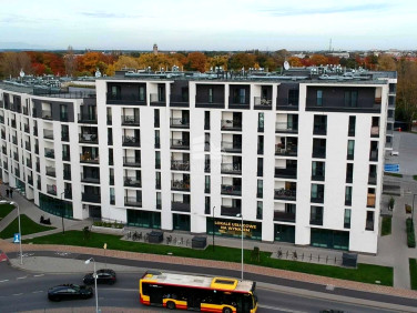 Lokal Wrocław wynajem