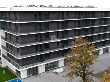Lokal Wrocław