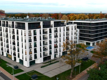 Lokal Wrocław wynajem