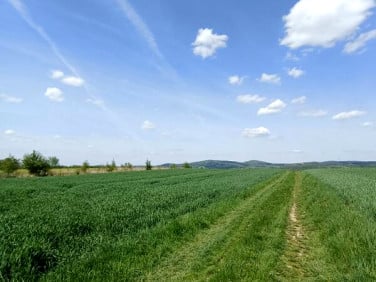 Działka Krosno